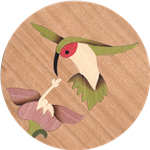 MQF-Hummingbird